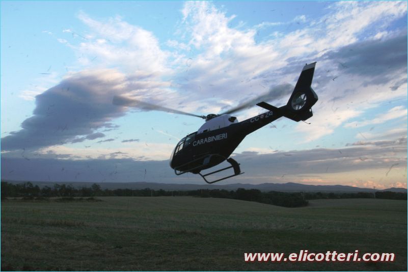 elifoto (168)